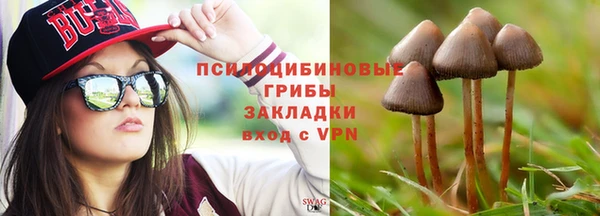 Альфа ПВП Аркадак